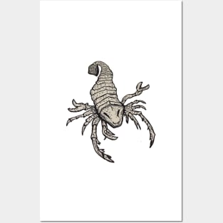 SEA the SCORPION Posters and Art